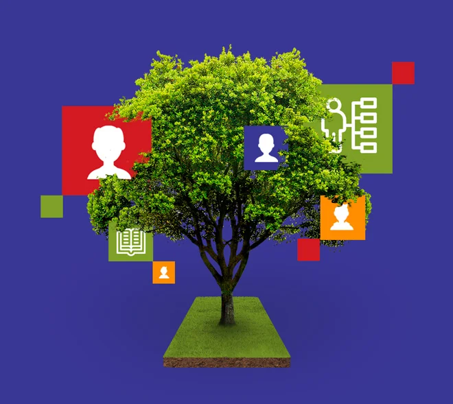 albero-2