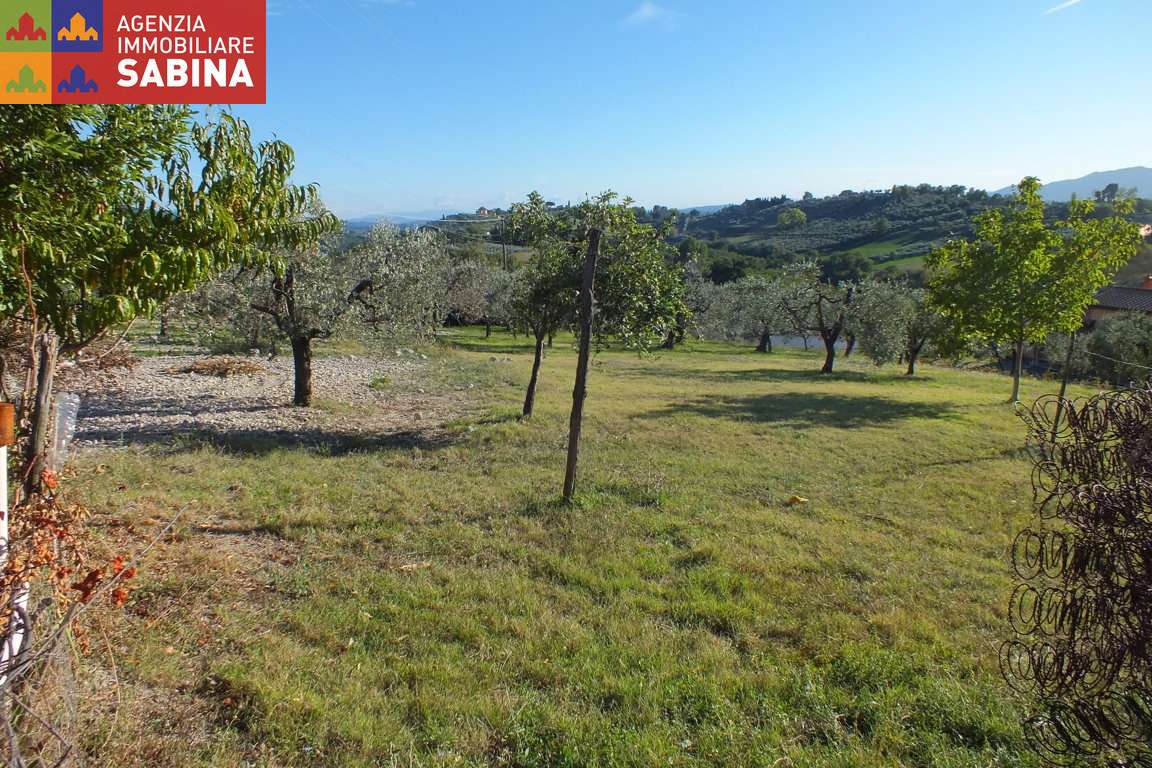 Torri In sabina