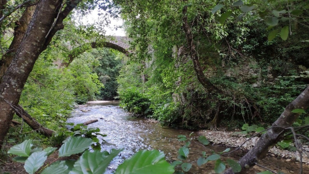 sabina nature