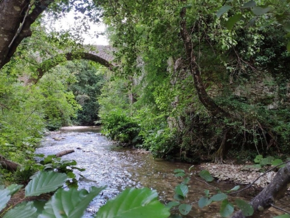 sabina nature