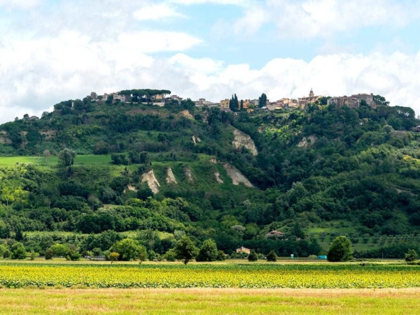 Magliano Sabina