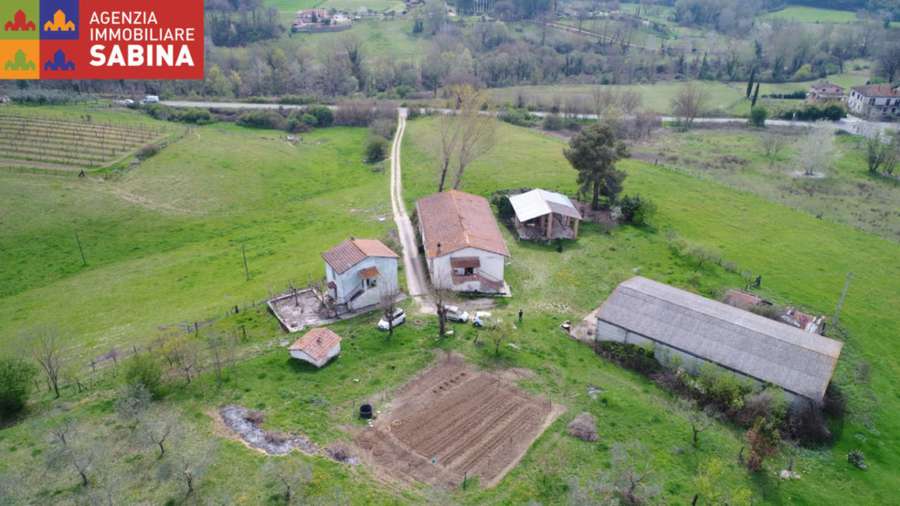 Tarano

