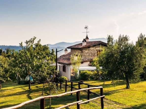 la collina degli ulivi