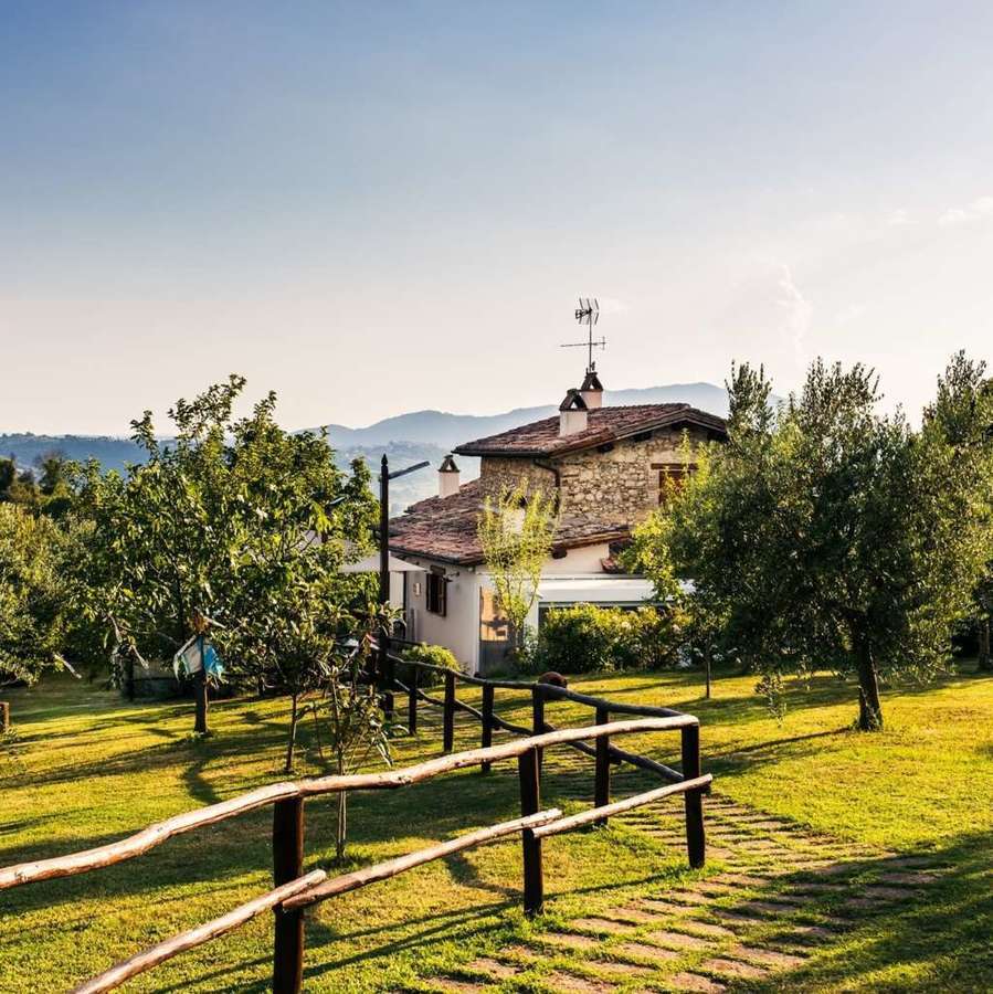 la collina degli ulivi