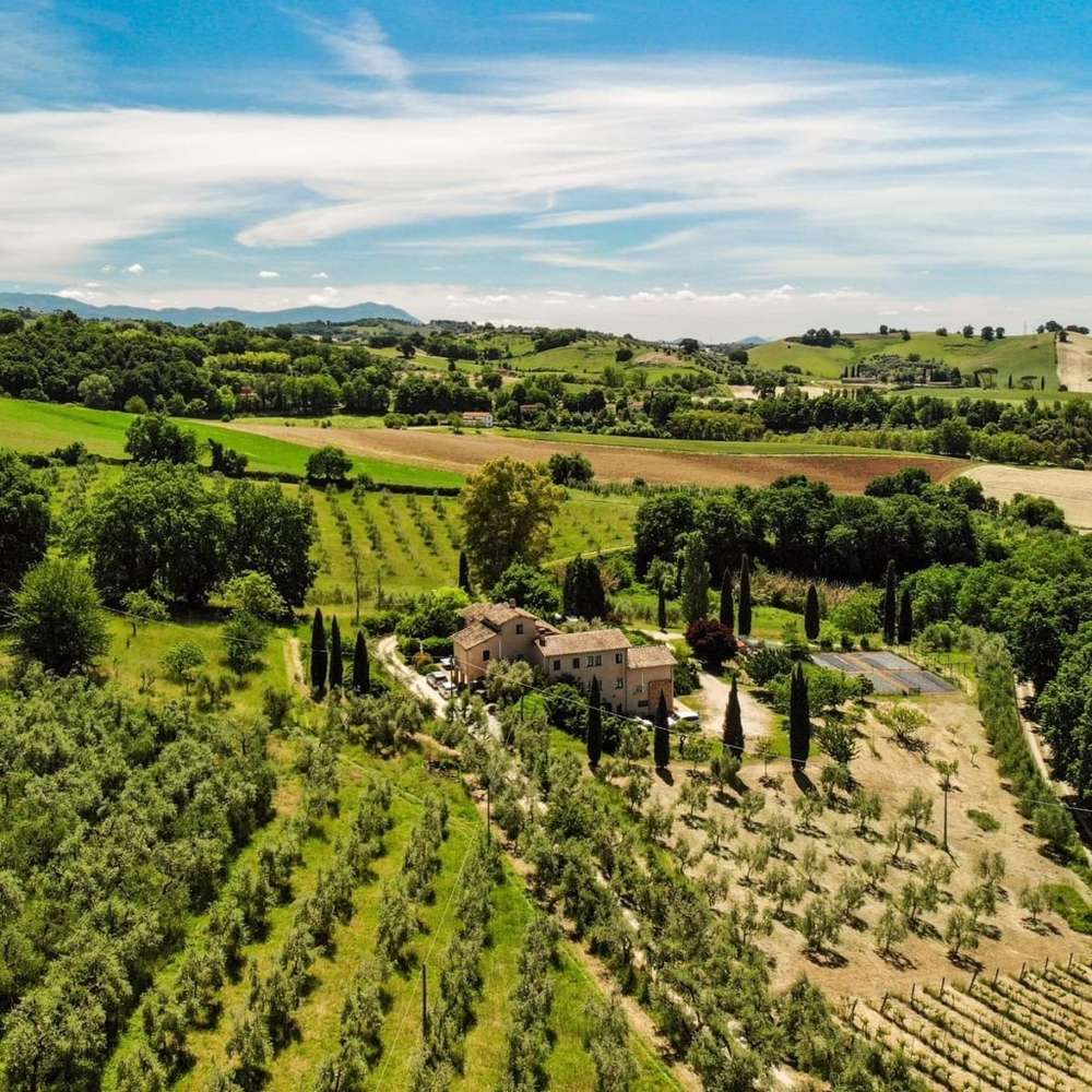 Terra Sabina