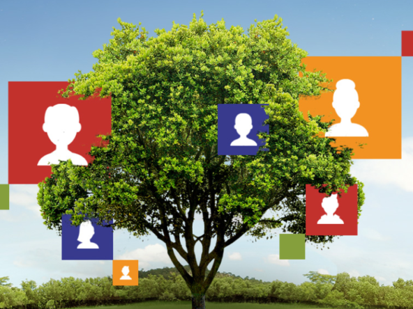 dichiarazione di successione