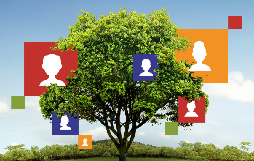 dichiarazione di successione